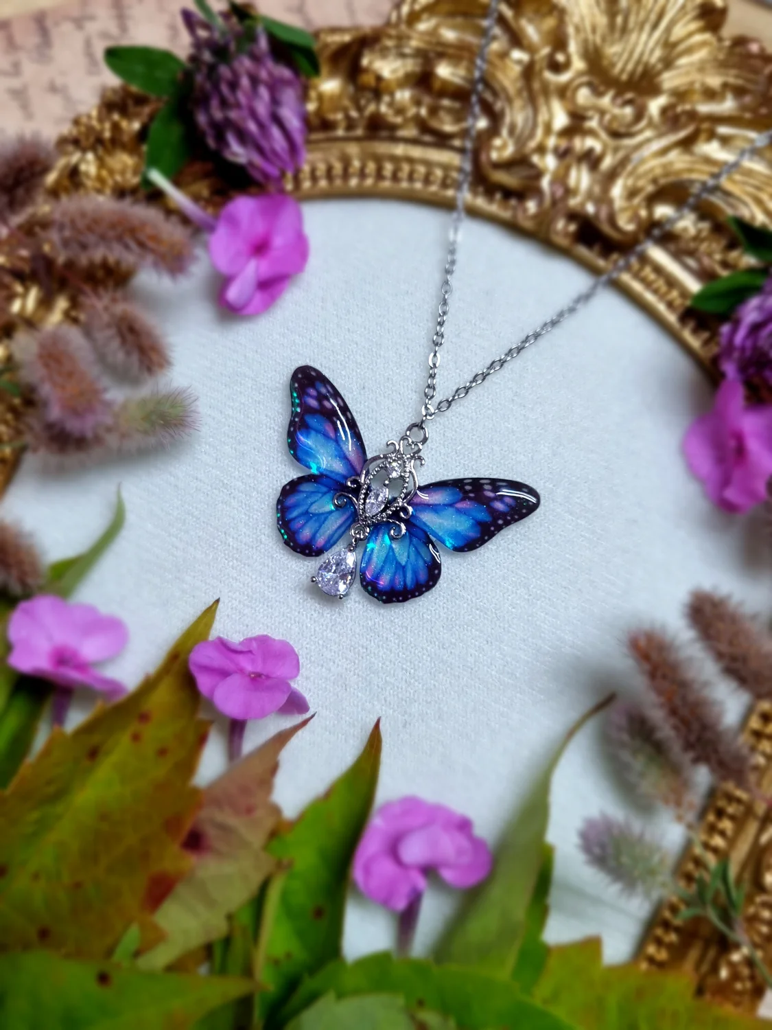 Motyl zorzy