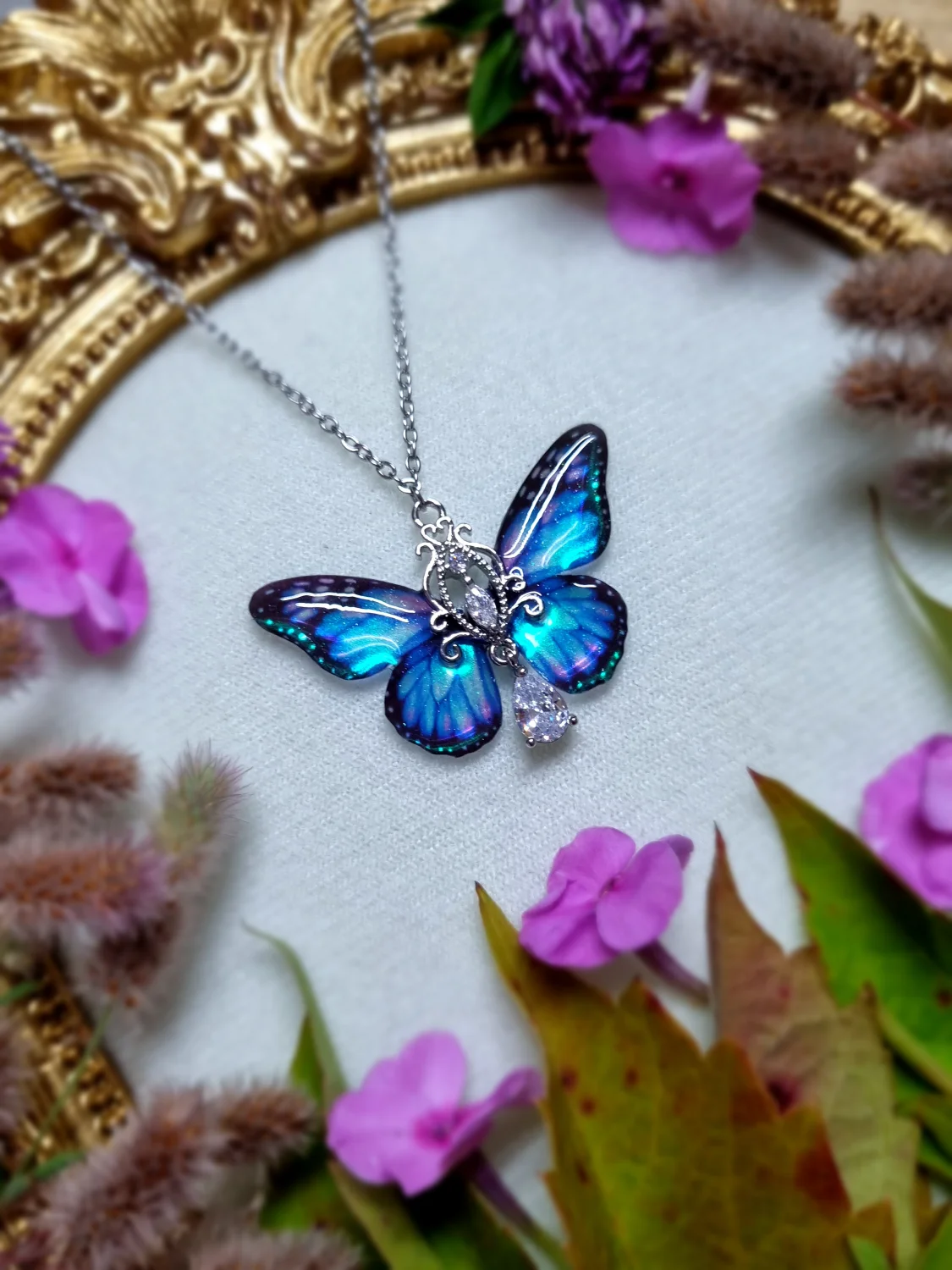 Motyl zorzy