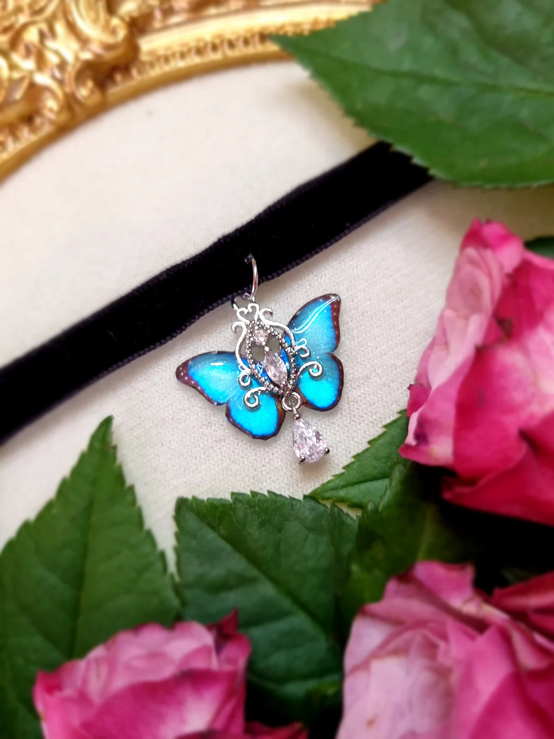 Morpho