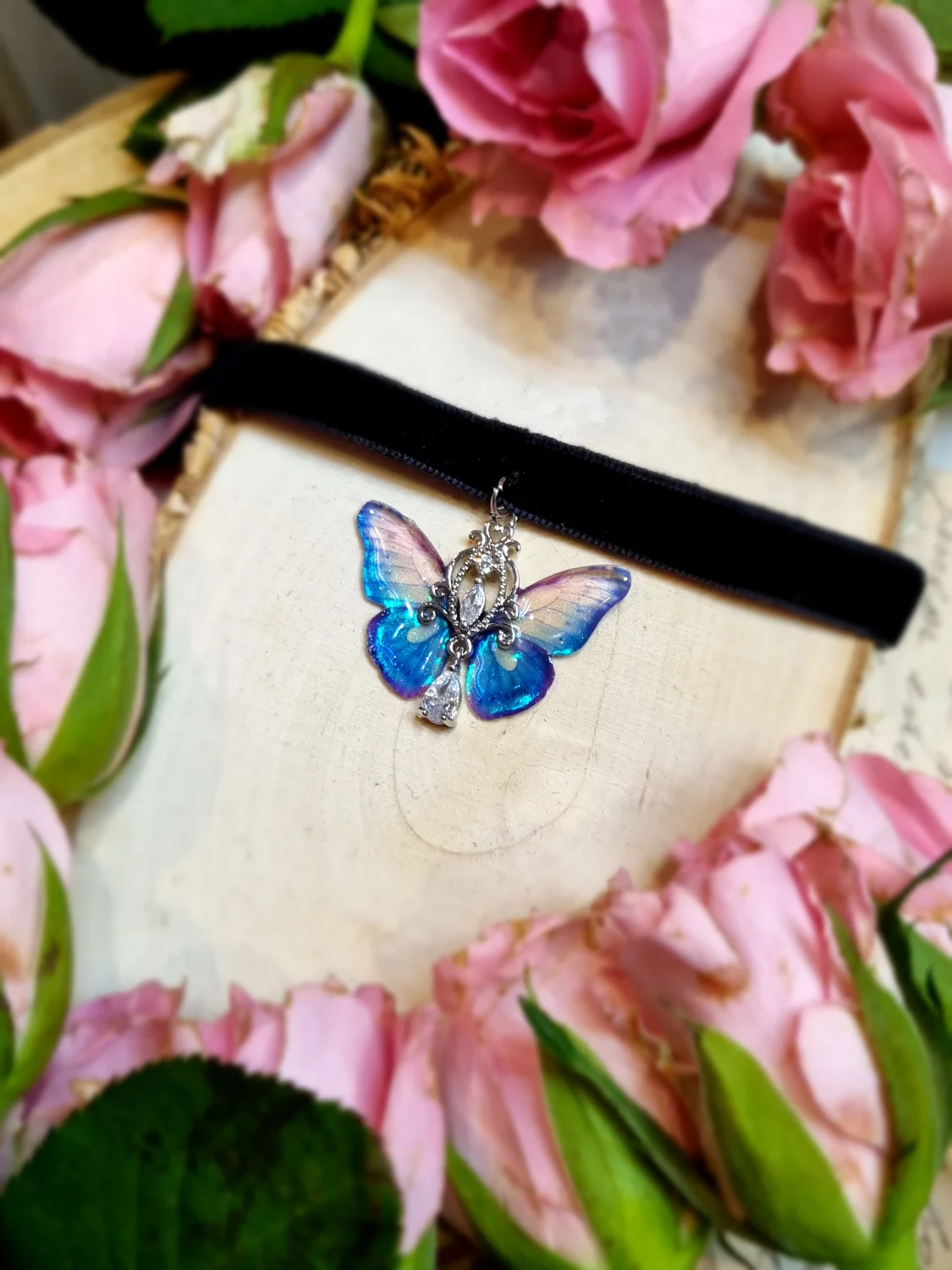 Motylek opalizujący